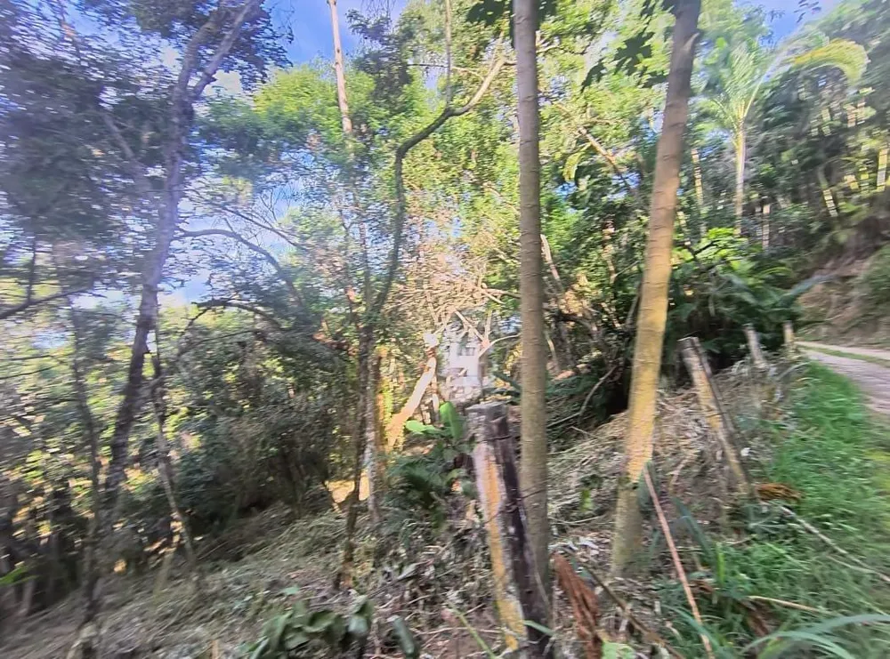 Terreno - Foto 6