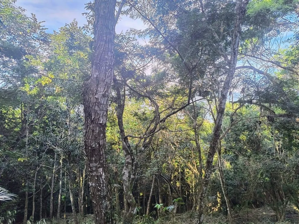 Terreno - Foto 8