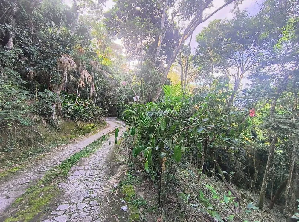Terreno - Foto 9