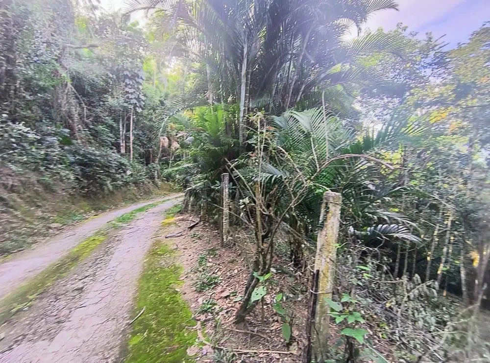 Terreno - Foto 7