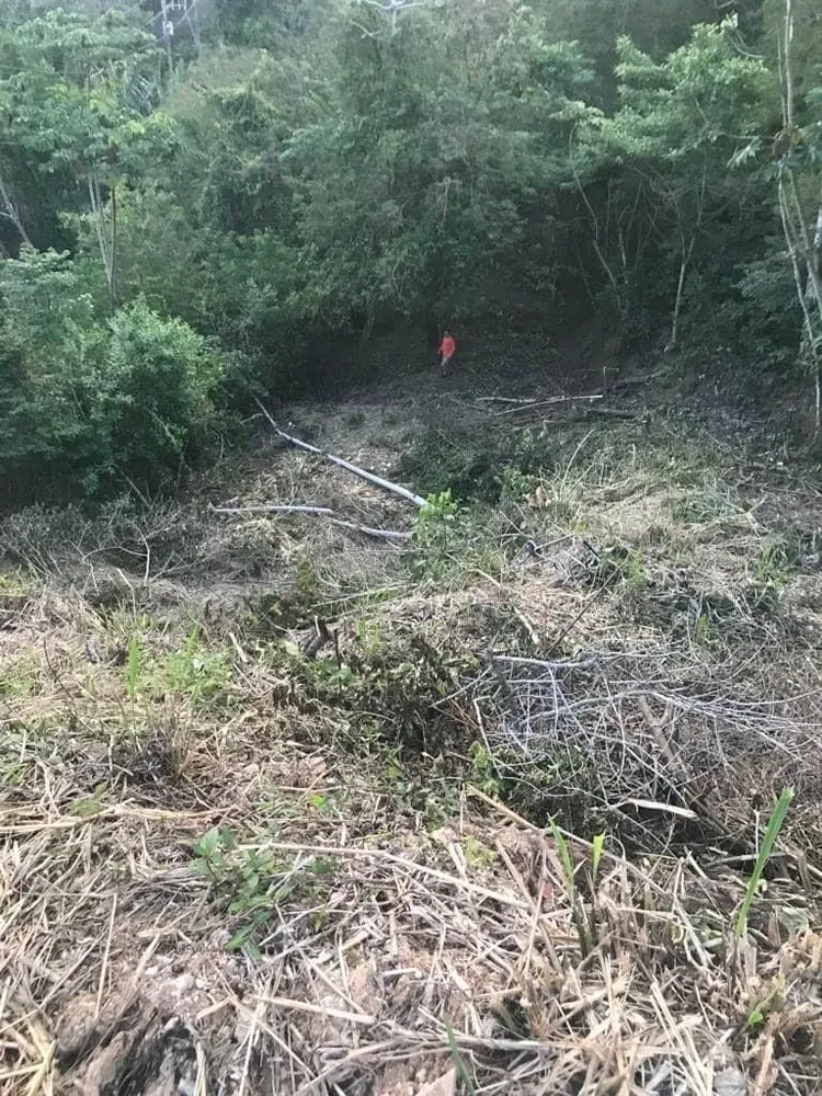 Terreno - Foto 6
