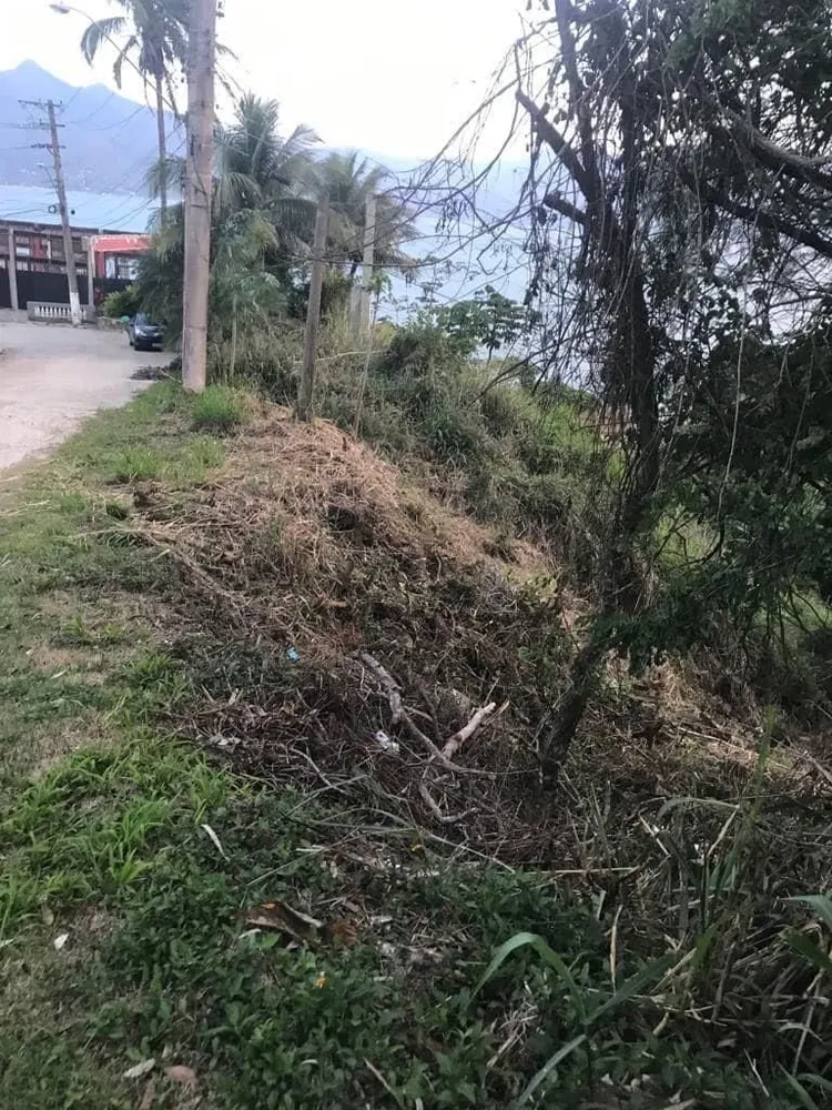 Terreno - Foto 1