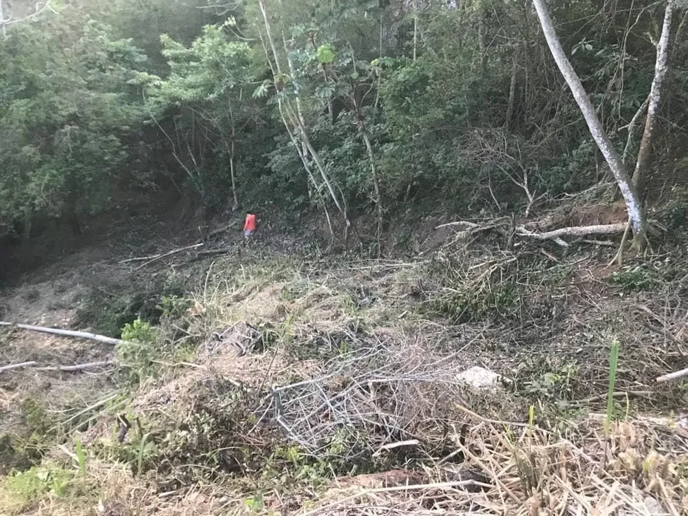 Terreno - Foto 3