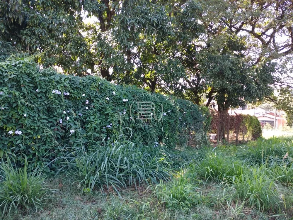Terreno, 300 m² - Foto 5