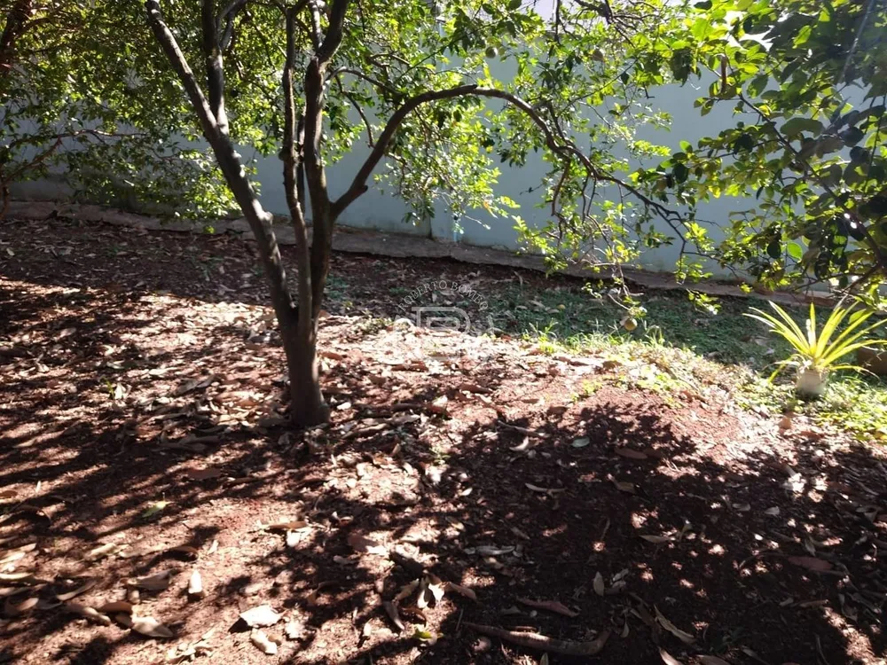 Terreno, 300 m² - Foto 3