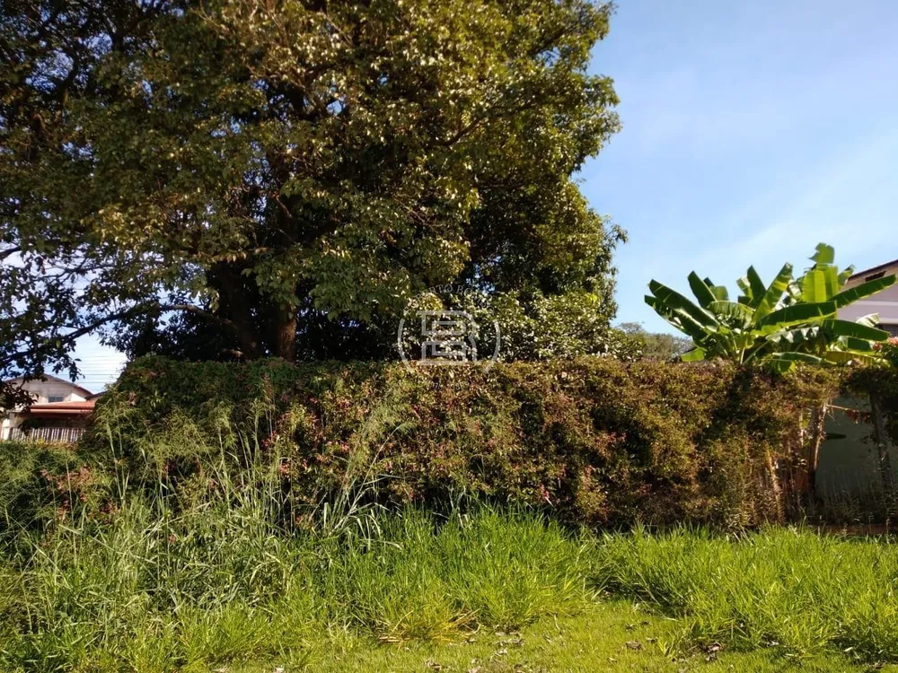 Terreno, 300 m² - Foto 6