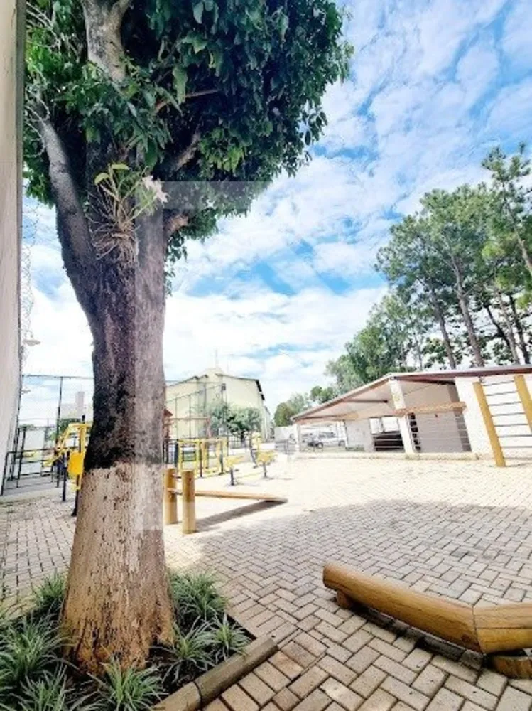 Apartamento, 3 quartos - Foto 5