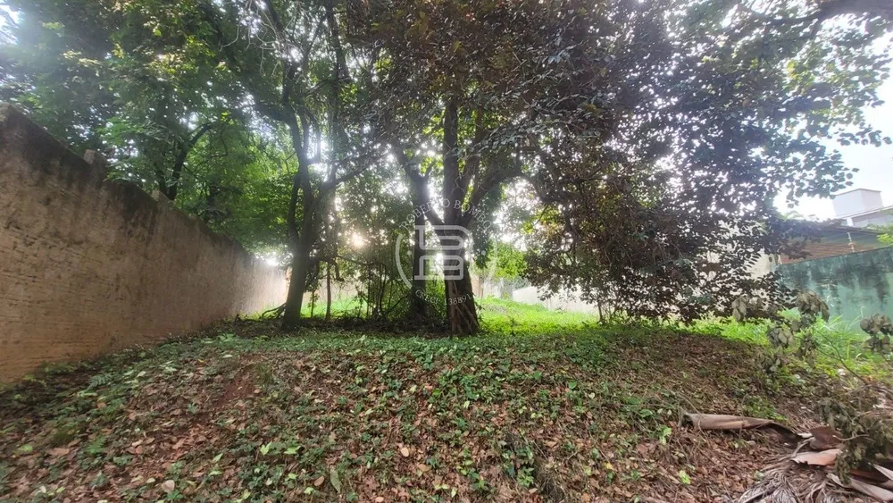 Terreno - Foto 2