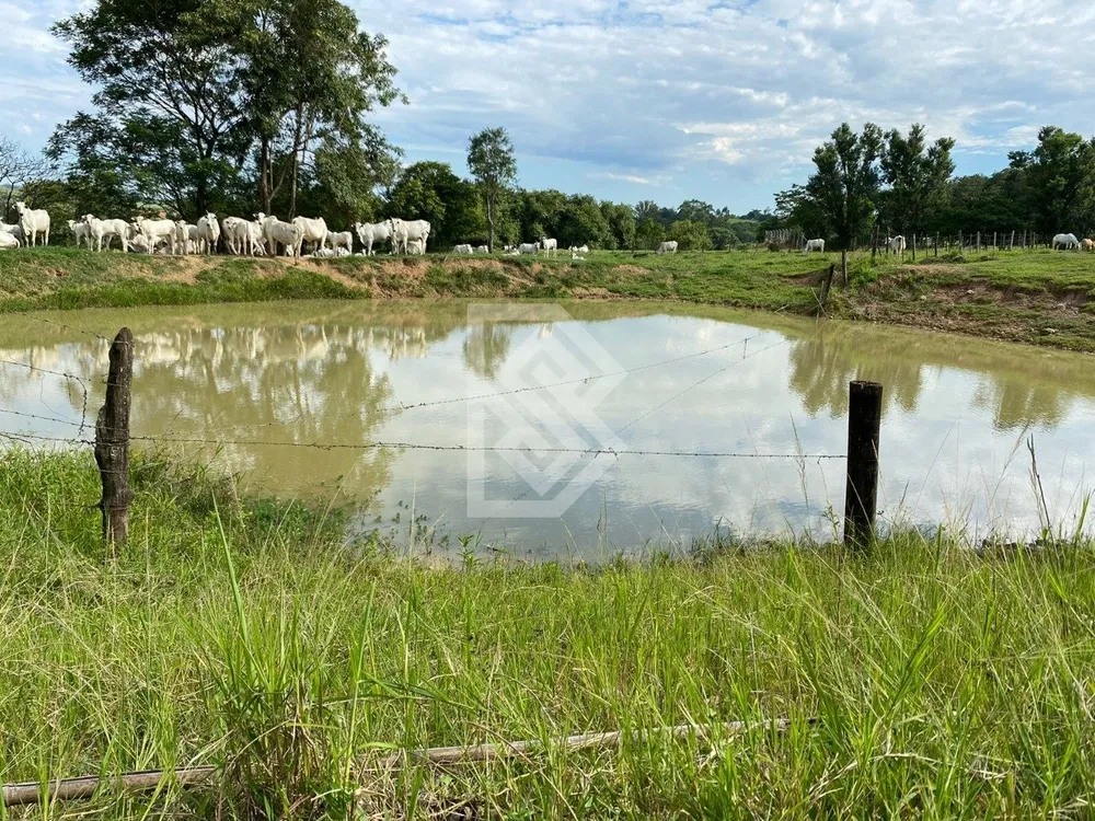 Terreno - Foto 12