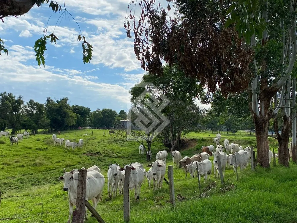 Terreno - Foto 1