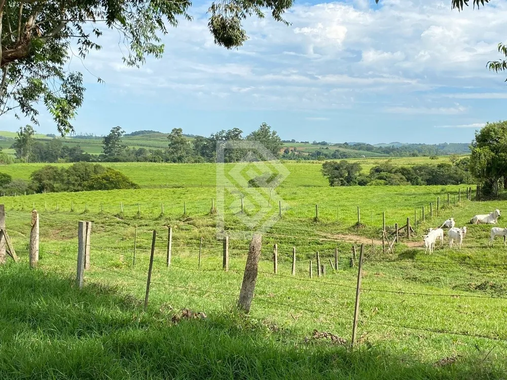 Terreno - Foto 10