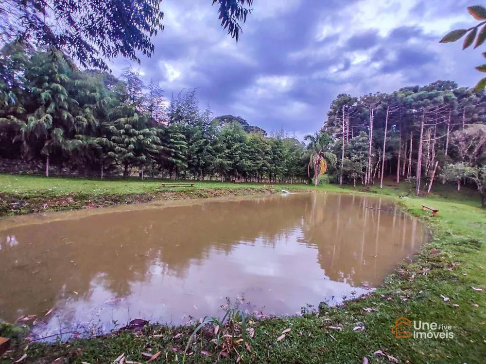 Chácara à venda com 3 quartos, 33425M2 - Foto 3