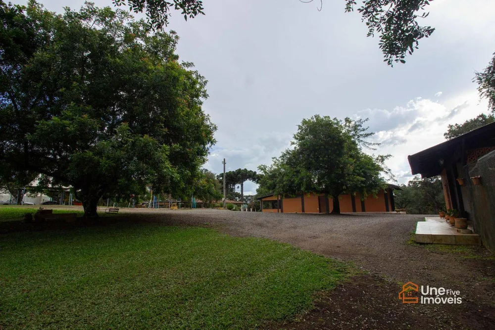 Chácara, 4 quartos, 4 hectares - Foto 13