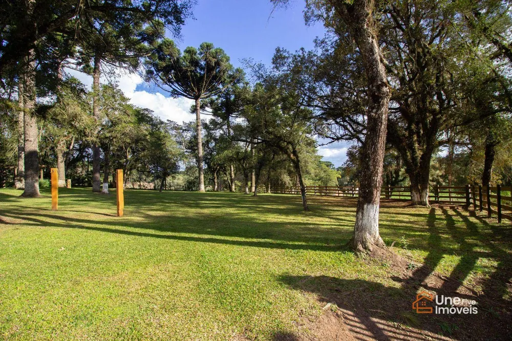 Chácara, 4 quartos, 4 hectares - Foto 11