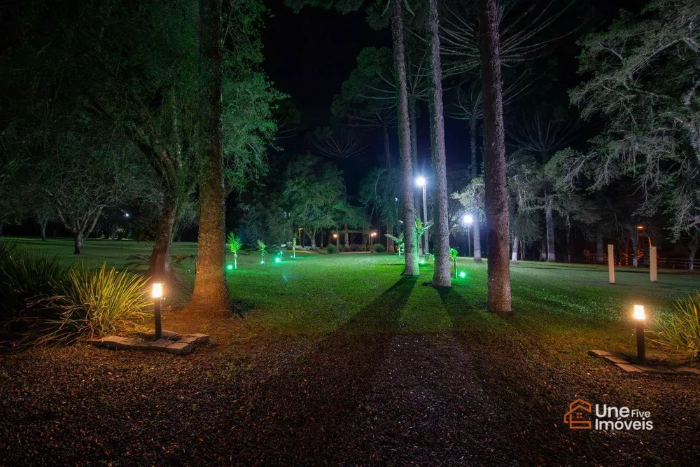 Chácara, 4 quartos, 4 hectares - Foto 18