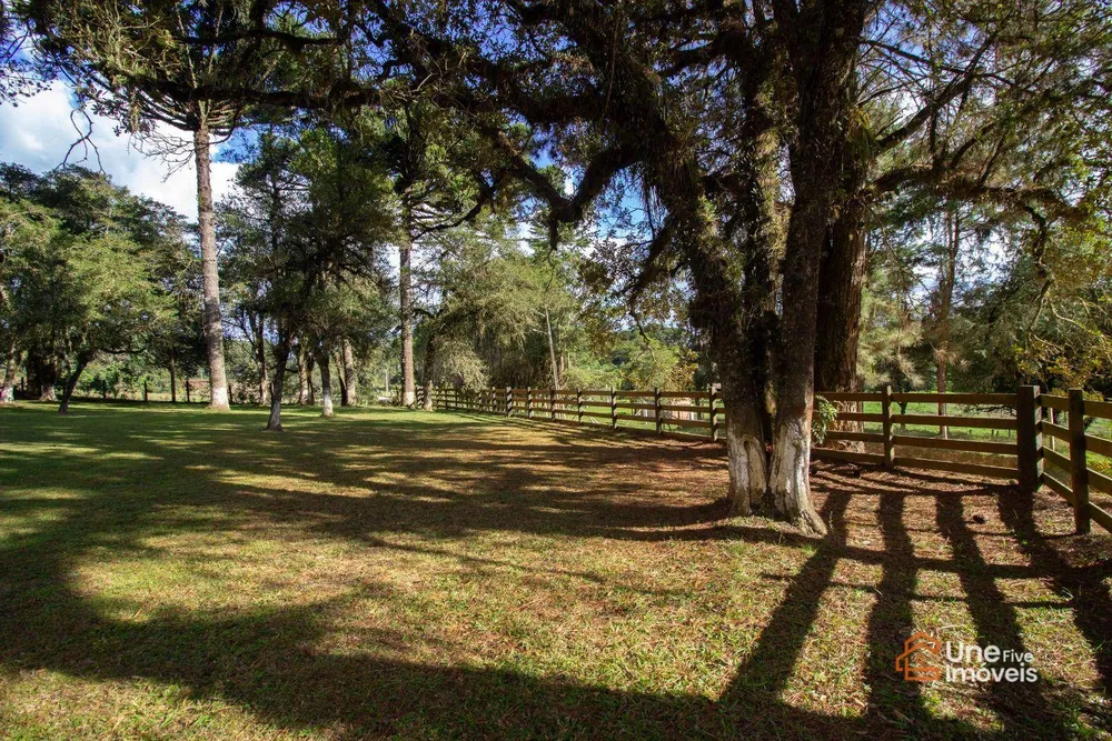 Chácara, 4 quartos, 4 hectares - Foto 12