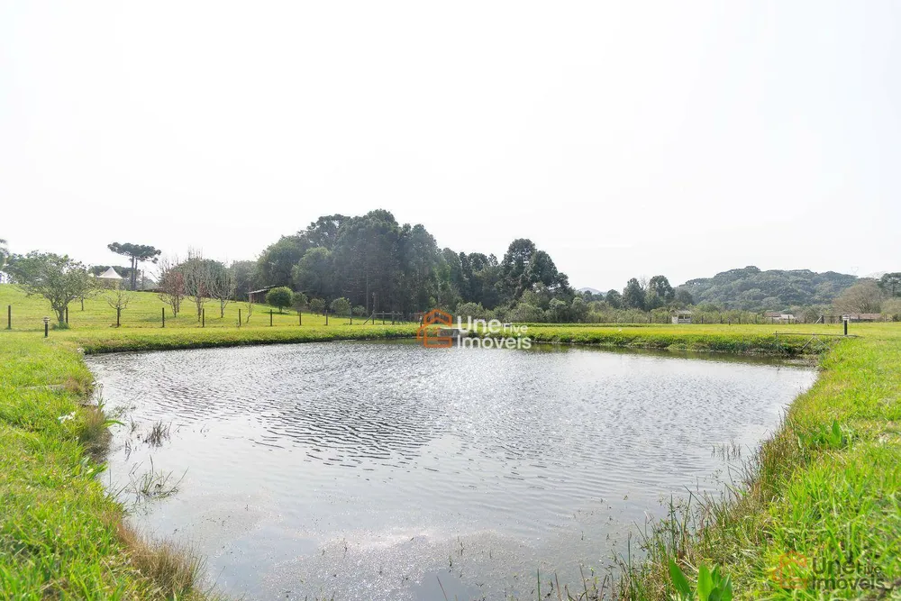 Chácara, 4 quartos, 4 hectares - Foto 16