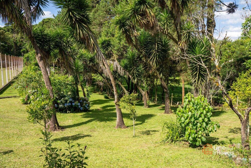 Casa, 3 quartos, 300 m² - Foto 2