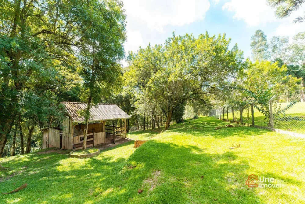 Chácara, 4 quartos, 8870 m² - Foto 15