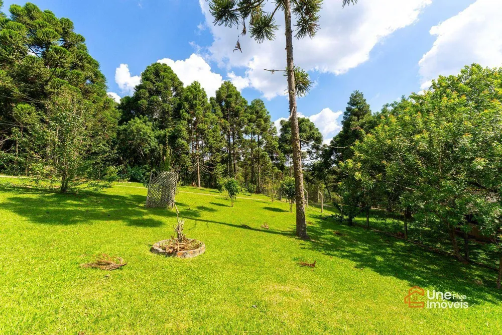 Chácara, 4 quartos, 8870 m² - Foto 14
