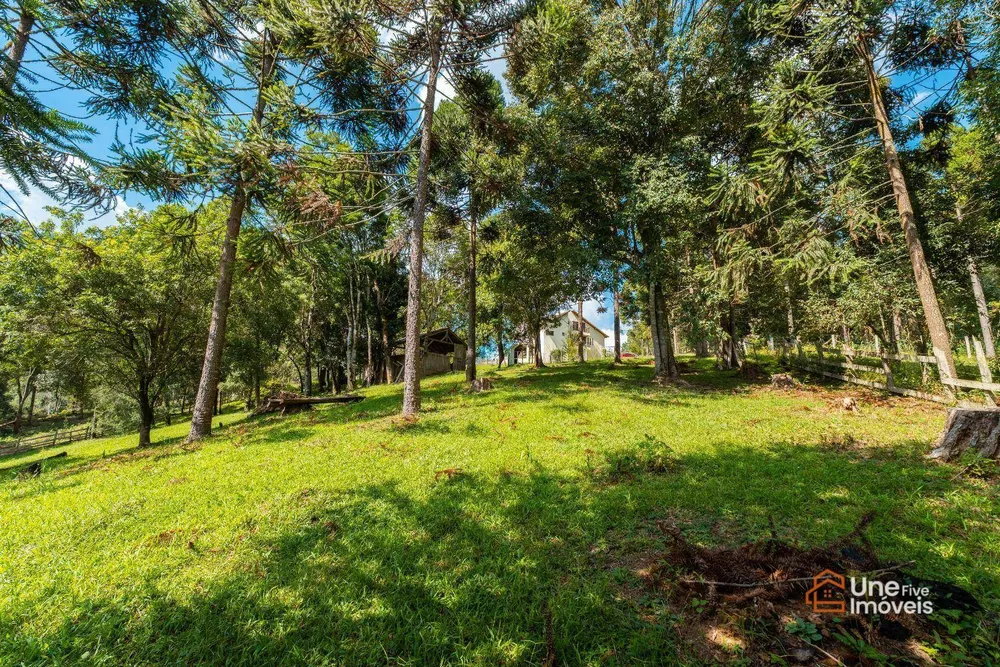 Chácara, 4 quartos, 8870 m² - Foto 16
