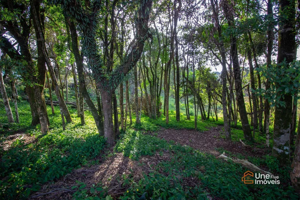 Terreno, 2102 m² - Foto 1