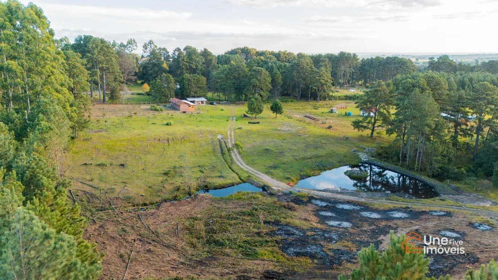 Chácara, 1 quarto, 2 hectares - Foto 4