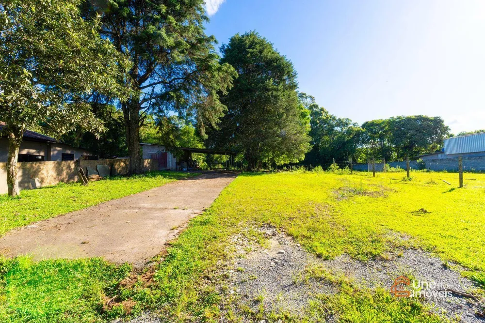 Terreno, 1103 m² - Foto 5