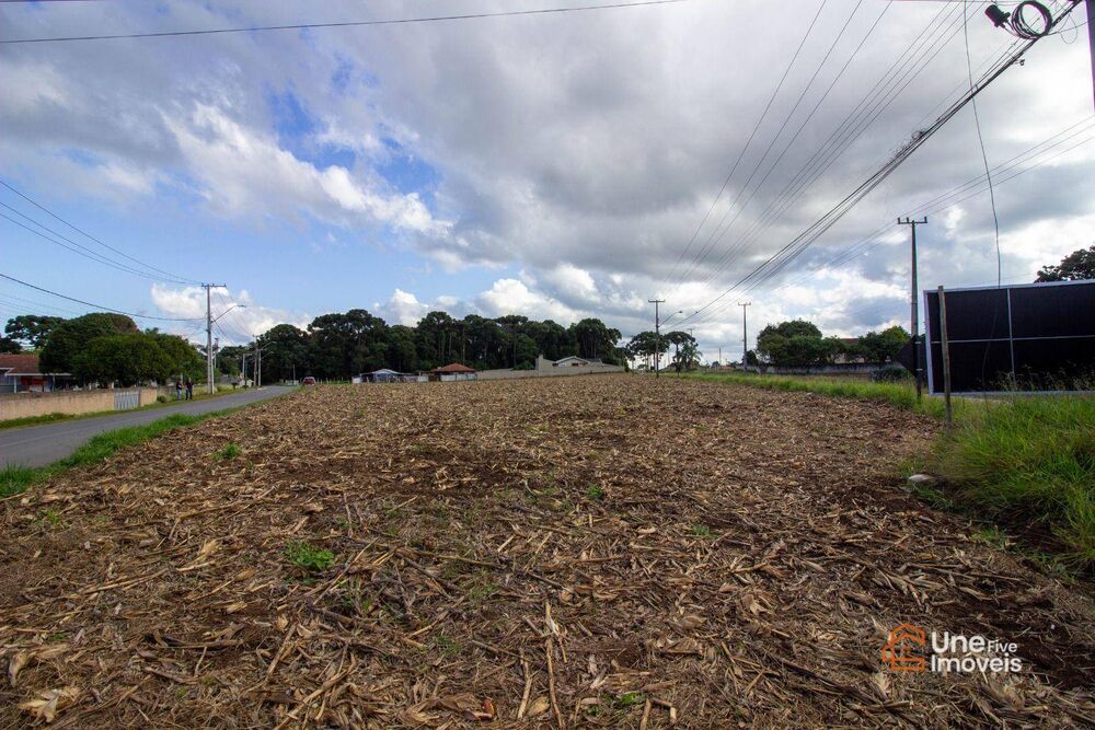 Terreno, 5733 m² - Foto 6
