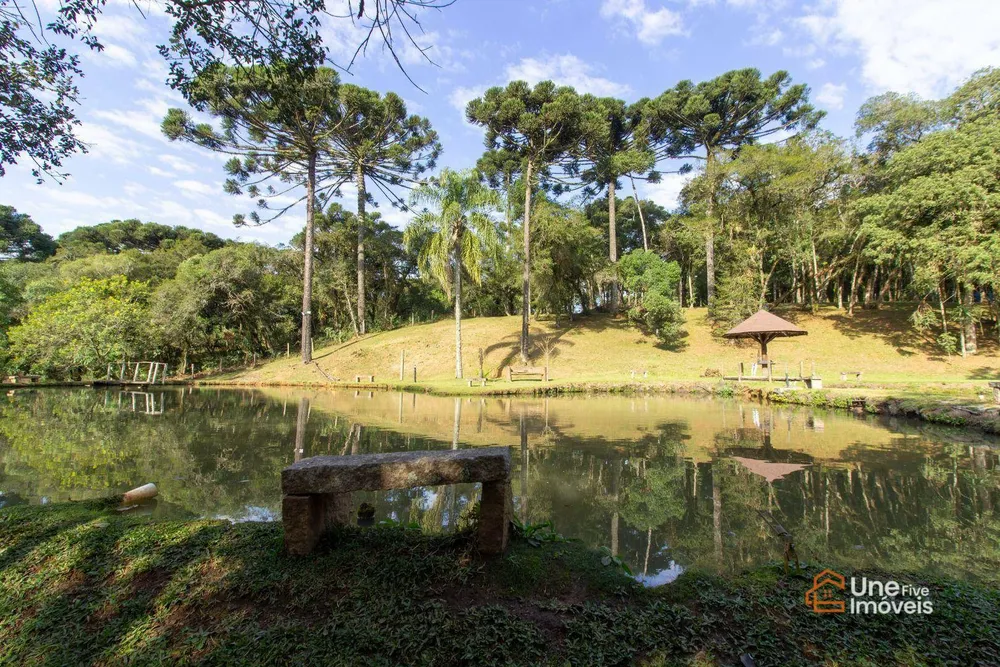 Chácara, 4 quartos, 45 m² - Foto 1