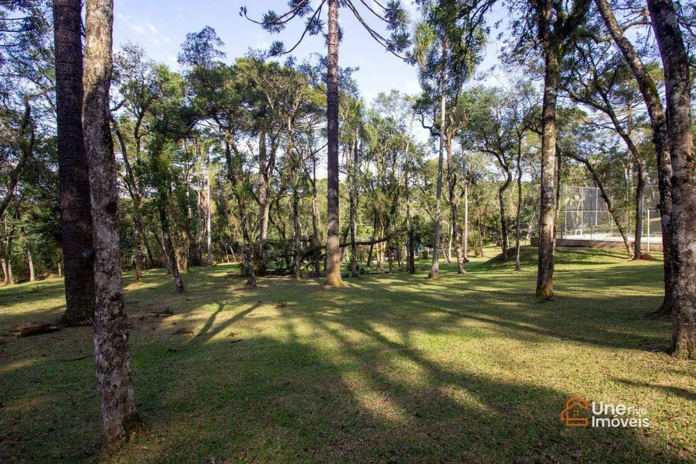 Chácara, 4 quartos, 45 m² - Foto 13