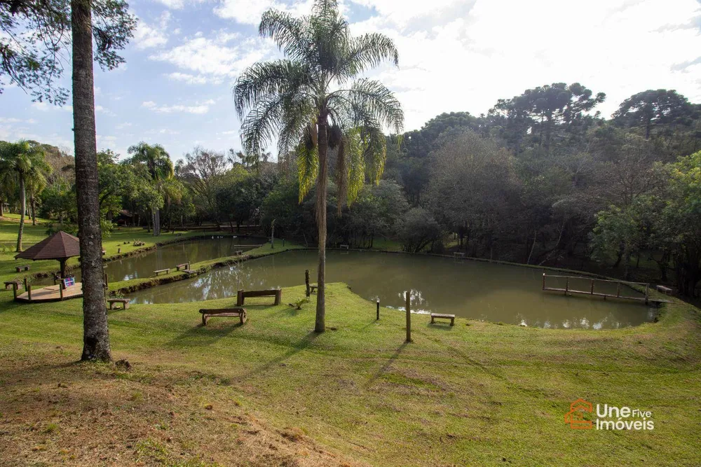 Chácara, 4 quartos, 45 m² - Foto 2