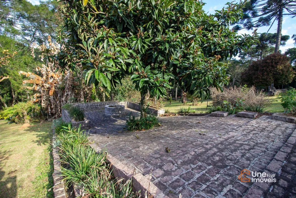 Chácara, 4 quartos, 45 m² - Foto 16