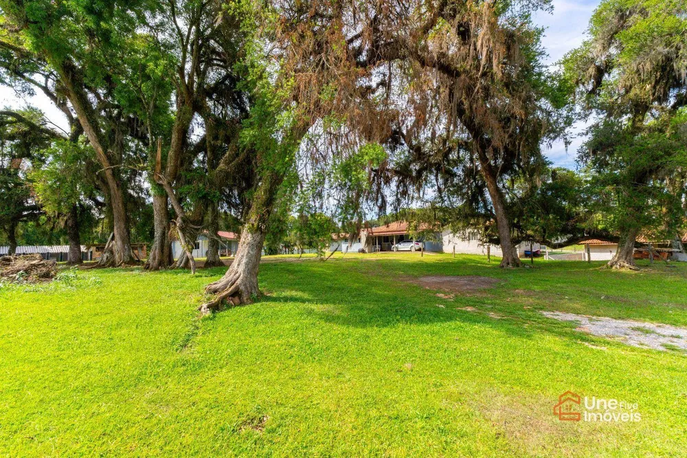 Terreno, 1974 m² - Foto 6