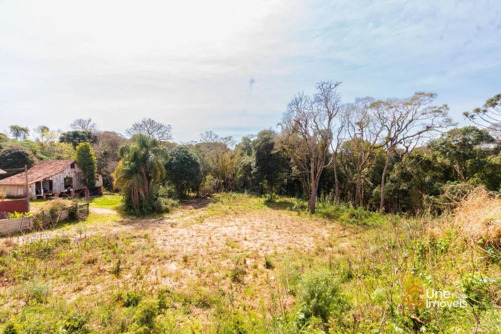 Terreno, 10000 m² - Foto 15