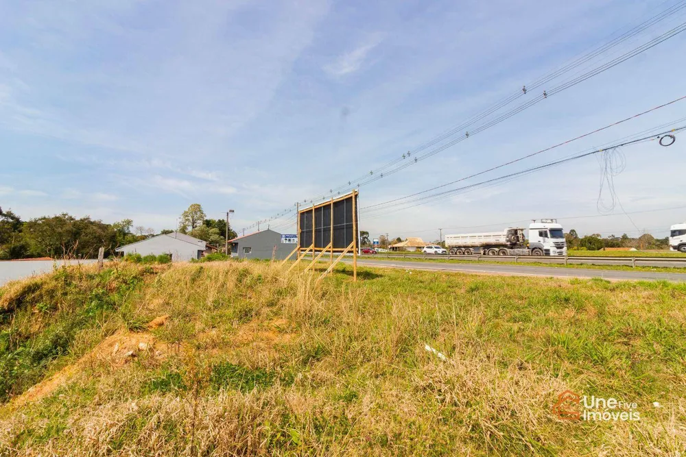 Terreno, 10000 m² - Foto 11