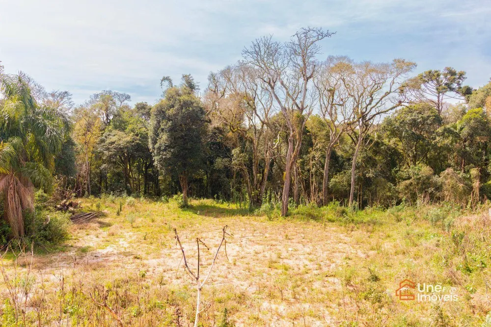 Terreno, 10000 m² - Foto 13