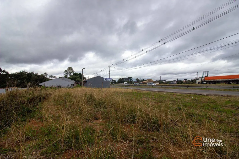 Terreno, 10000 m² - Foto 3