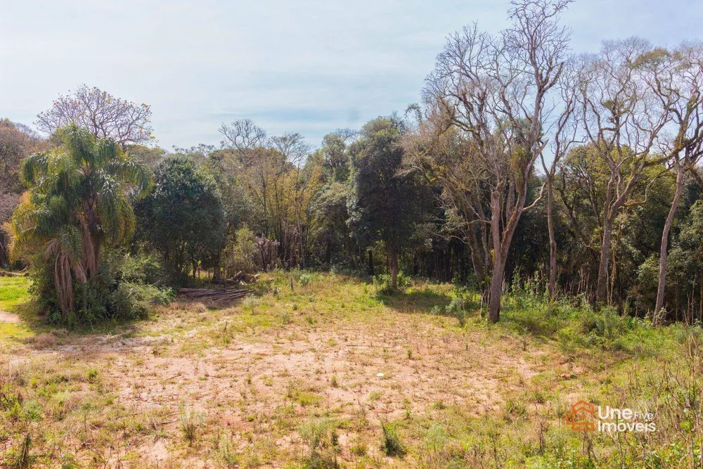 Terreno, 10000 m² - Foto 14