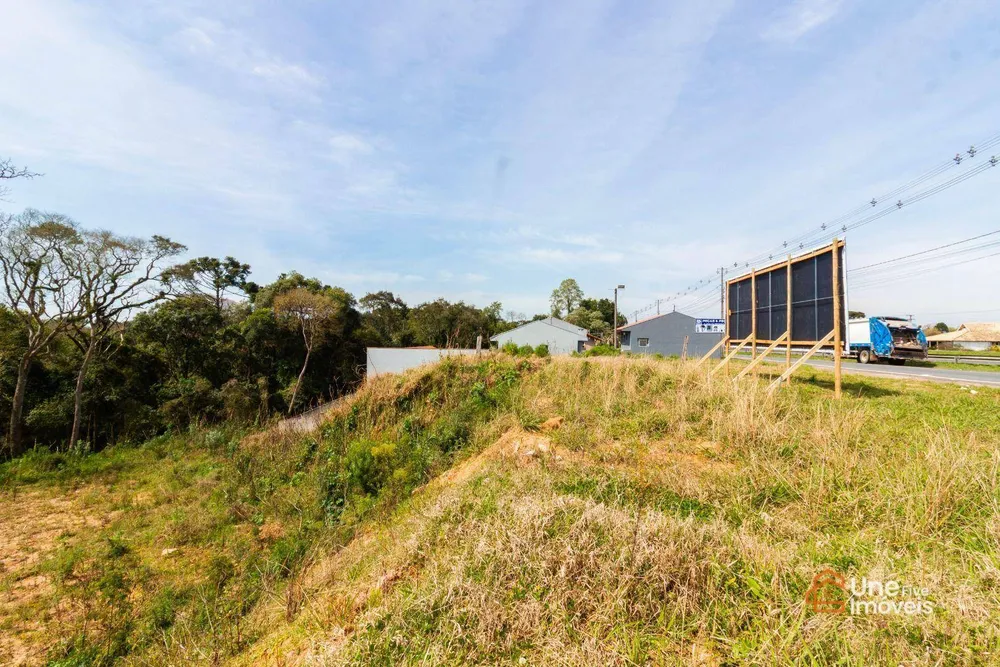 Terreno, 10000 m² - Foto 12