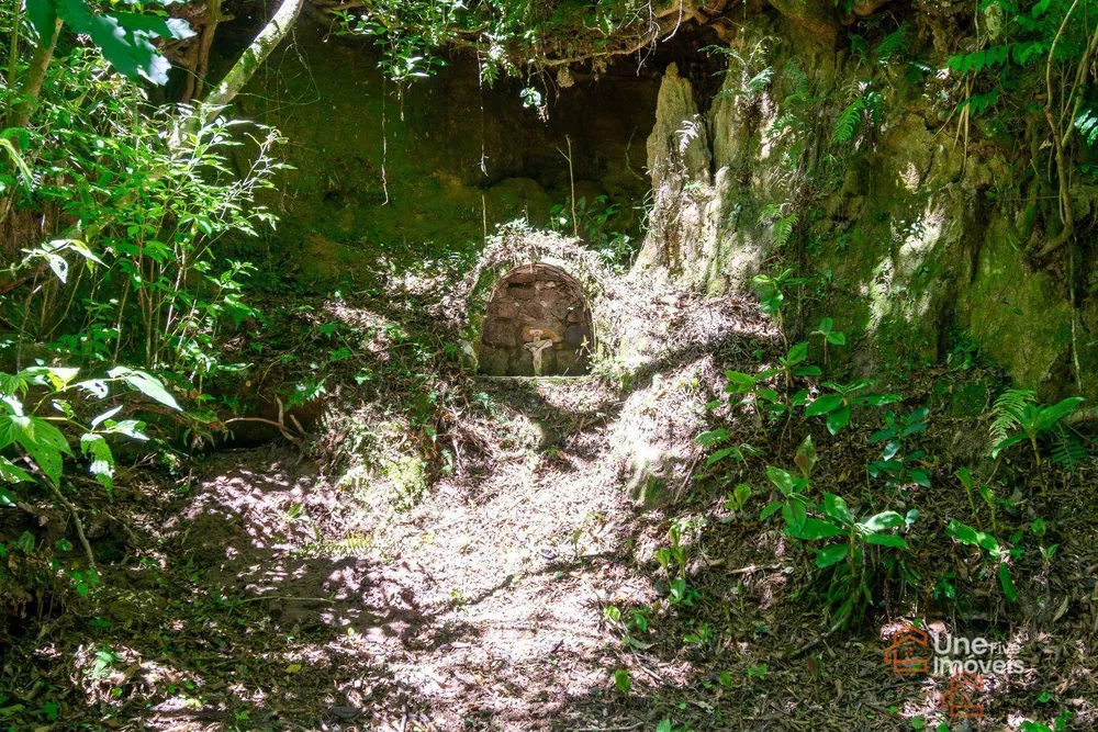 Chácara, 3 quartos, 2 hectares - Foto 3