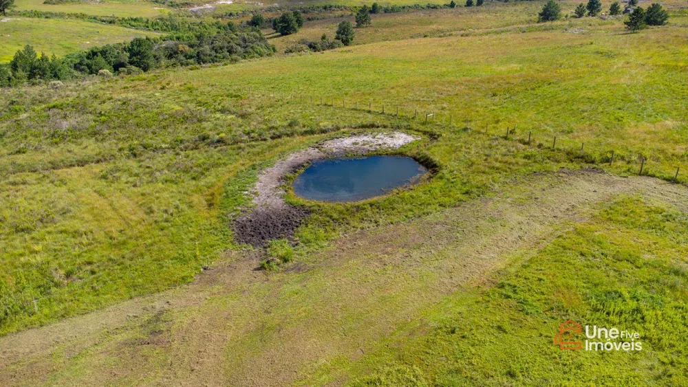 Chácara, 1 quarto, 2 hectares - Foto 2