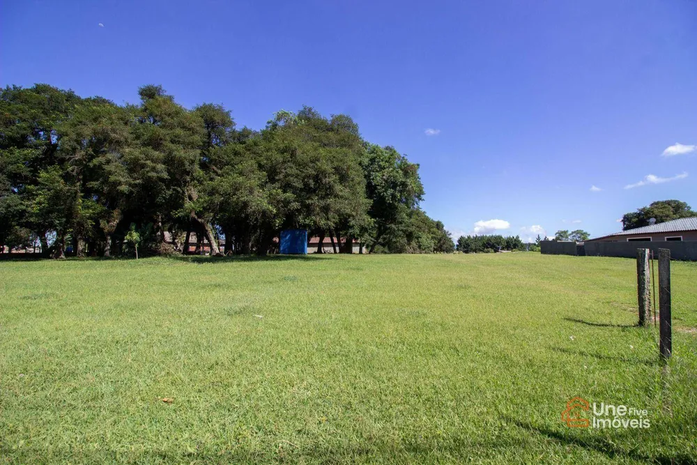 Terreno, 6877 m² - Foto 6
