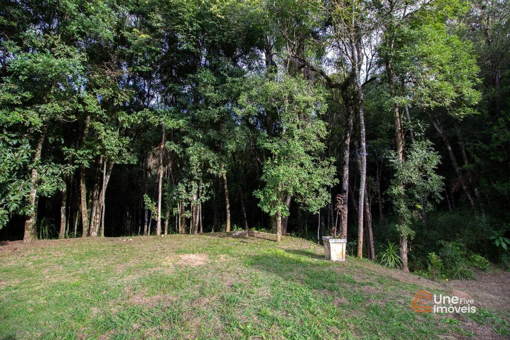 Chácara, 4 quartos, 3 hectares - Foto 2