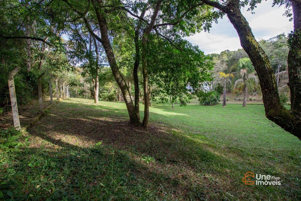 Chácara, 4 quartos, 3 hectares - Foto 11