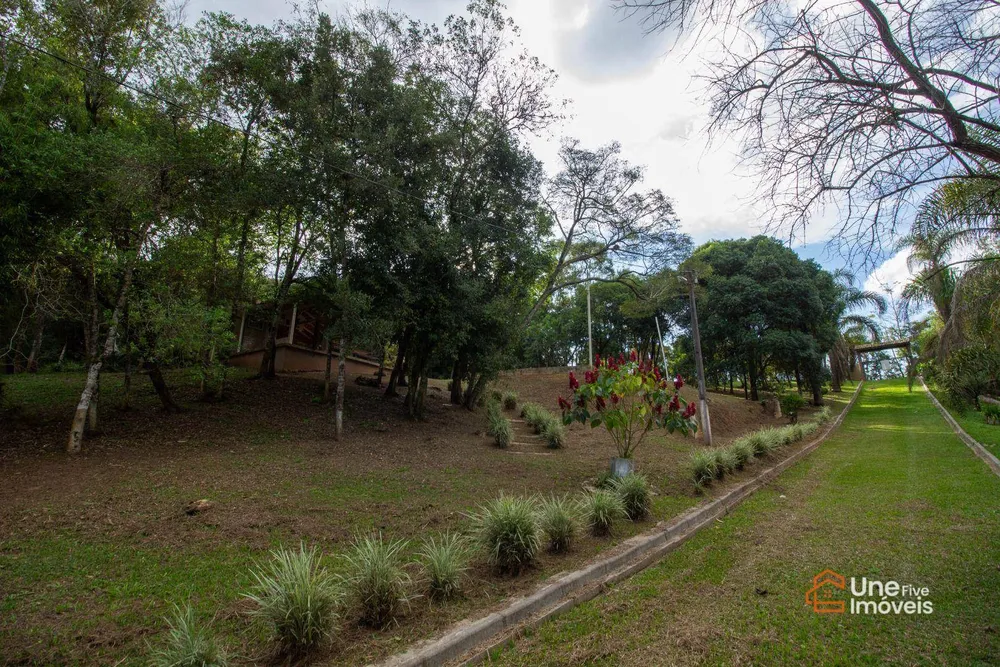 Chácara, 4 quartos, 3 hectares - Foto 9