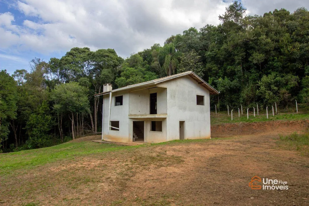 Chácara, 4 quartos, 3 hectares - Foto 5