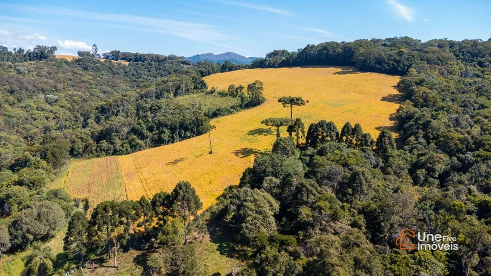 Terreno, 109 hectares - Foto 12