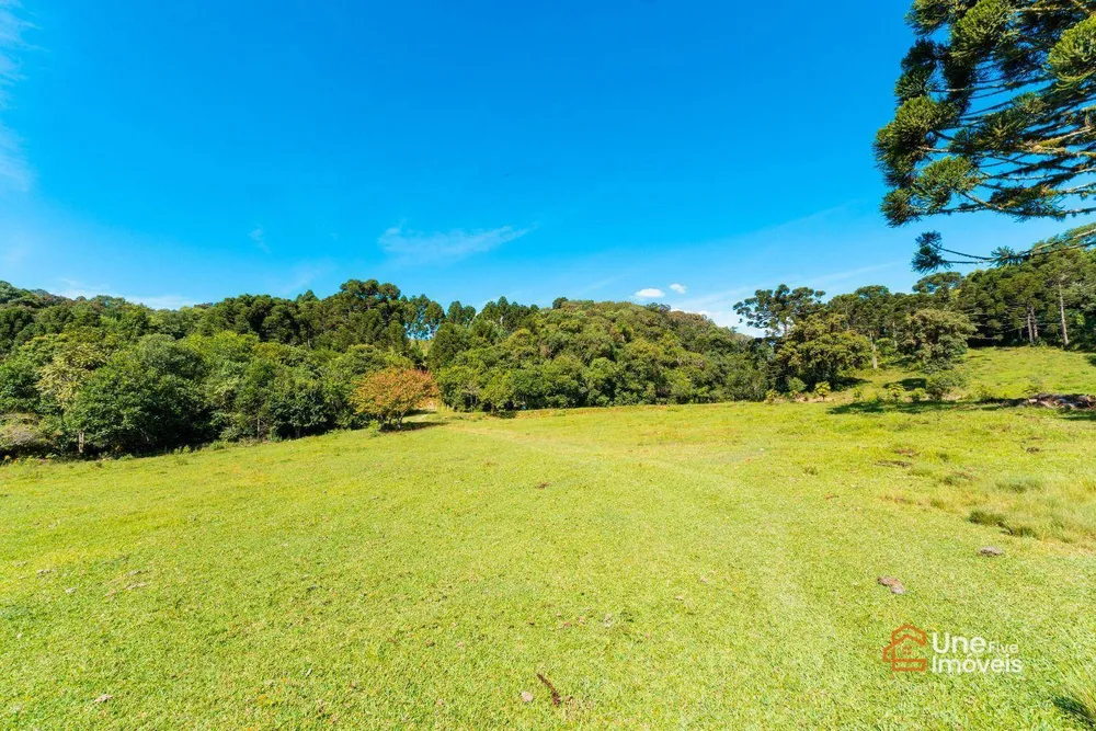 Terreno, 109 hectares - Foto 8