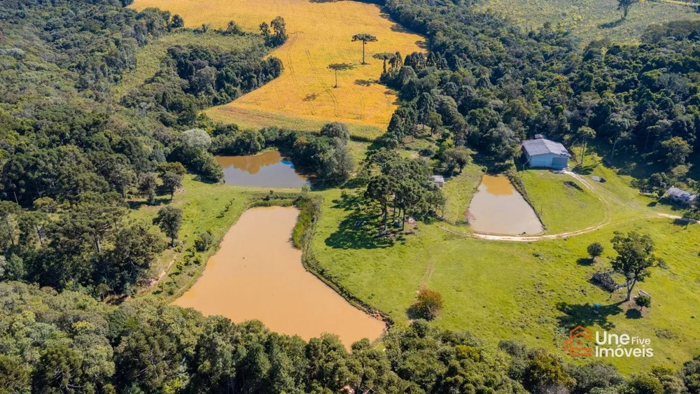 Terreno, 109 hectares - Foto 1